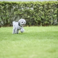 アーカンジェル迎賓館（仙台）/テイクアンドギヴ・ニーズウェディング