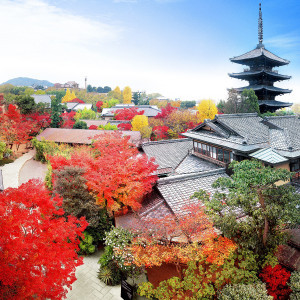 京都を象徴する伝統美と豊かな自然が息づく東山。招待すること自体がおもてなしになる特別な場所|THE SODOH HIGASHIYAMA KYOTO（ザ ソウドウ 東山 京都）の写真(45829096)