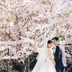 ふたりの幸せを彩る四季折々の景色。結婚式のあとも季節がめぐるたびに誓いの気持ちがよみがえる。|THE SODOH HIGASHIYAMA KYOTO（ザ ソウドウ 東山 京都）の写真(4925639)