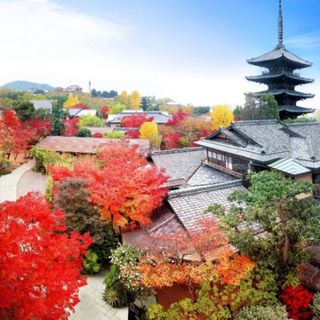 【ご遠方の方へおすすめ】30分~◎特典多数のオンラインフェア