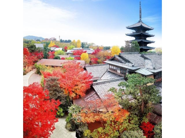 1軒目のフェア参加で更にお得に叶えるウェディングを!