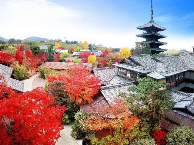 【来館特典】1軒目のフェア参加で更にお得に叶える