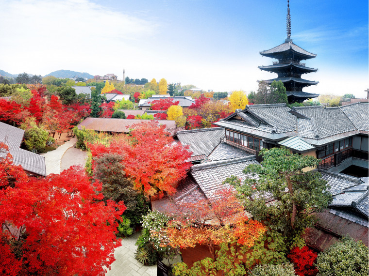 京都駅10分で叶う！四季が彩る東山 緑豊かな1700坪の庭園