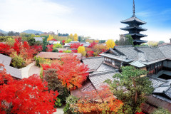 THE SODOH HIGASHIYAMA KYOTO（ザ ソウドウ 東山 京都）