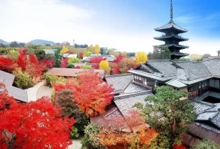 THE SODOH HIGASHIYAMA KYOTO（ザ ソウドウ 東山 京都）