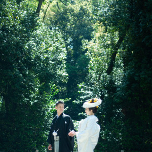 縄文時代から続く原生林|北山ル・アンジェ教会の写真(55435788)