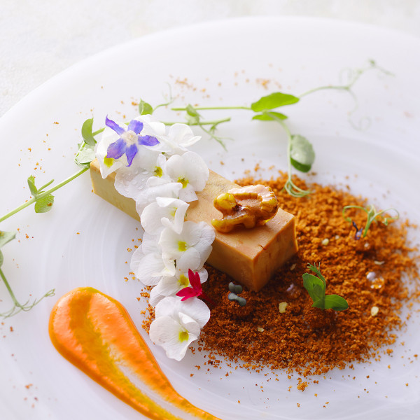 アイネスヴィラノッツェ宝ヶ池（クラウディアホールディングスグループ