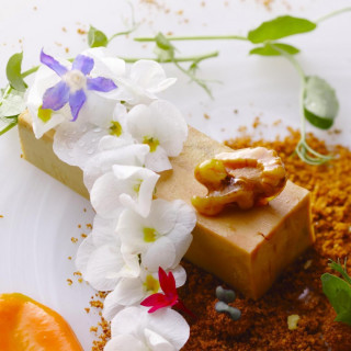 *新春SP*プレミア試食会★ガーデン付き邸宅×おもてなしWD体験