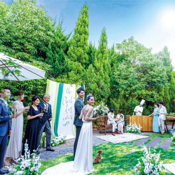 【通常価格:302万円 ➡ HP価格:174万円】