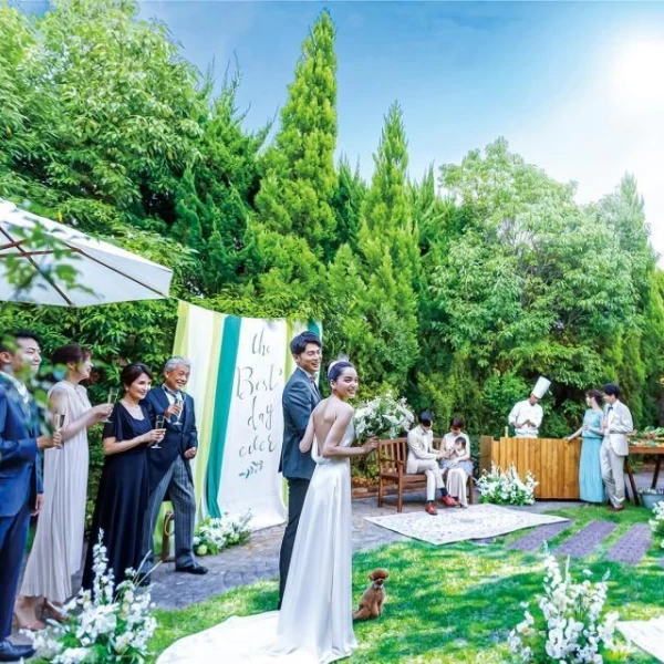 【通常価格:302万円 ➡ HP価格:174万円】