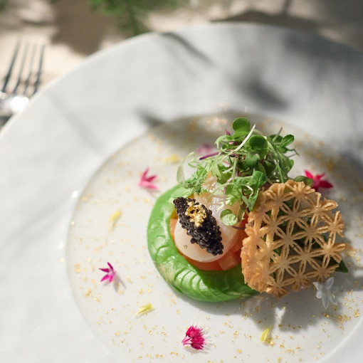 アイネスヴィラノッツェ宝ヶ池（クラウディアホールディングスグループ）