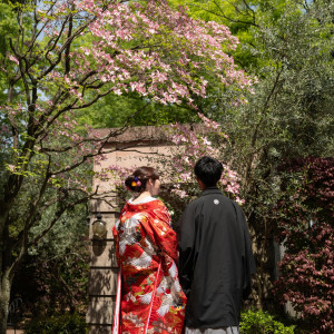 人気の赤と鶴が入った色打掛!!|冠稲荷神社 宮の森迎賓館 ティアラグリーンパレスの写真(56209609)