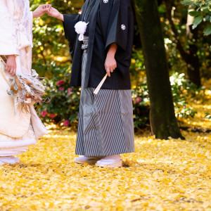 12月が見頃のイチョウの絨毯|冠稲荷神社 宮の森迎賓館 ティアラグリーンパレスの写真(22045555)