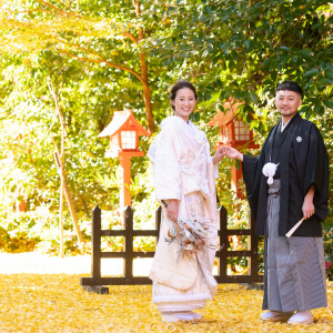 落葉したイチョウの上で秋フォトウェディング|冠稲荷神社 宮の森迎賓館 ティアラグリーンパレスの写真(53325738)