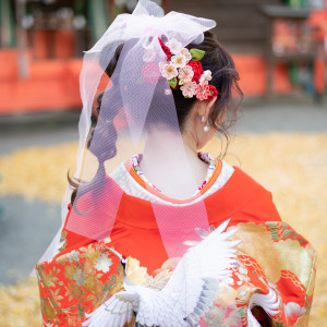 チュールを使った流行のヘアースタイル|冠稲荷神社 宮の森迎賓館 ティアラグリーンパレスの写真(20099600)