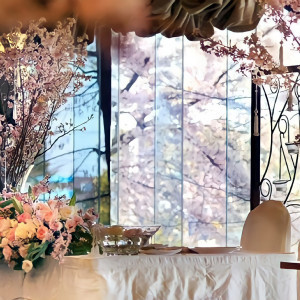 ＜ティアラグランデ＞桜の季節には内も外も桜づくし|冠稲荷神社 宮の森迎賓館 ティアラグリーンパレスの写真(15873937)