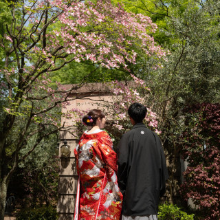 人気の赤と鶴が入った色打掛！！