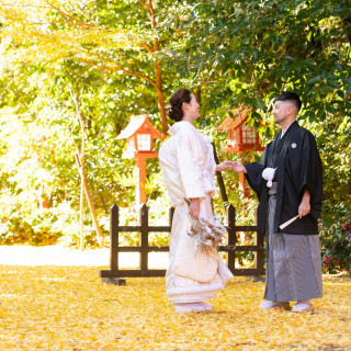 【11月12月限定フォトウェディング相談会】紅葉&イチョウの絨毯フォト