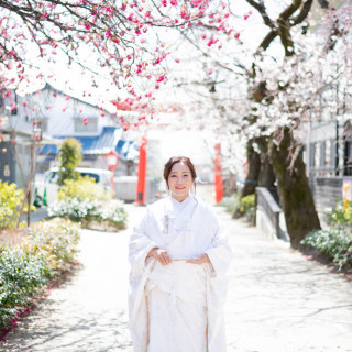 【3月4月ご案内フォトウェディング相談会】桜&木瓜の花での春フォト