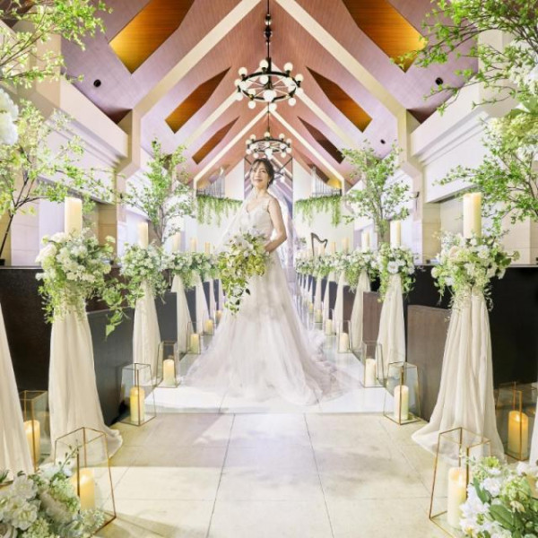 豪華9品コース試食つき