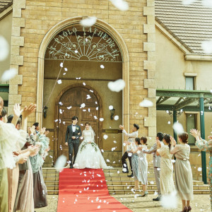 フラワーシャワー|グランラセーレの森の写真(55946175)