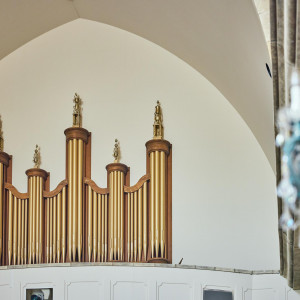 パイプオルガン|グランラセーレの森の写真(56348456)