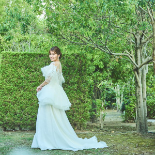 リニューアル特典！レンタル衣裳50％OFF！！