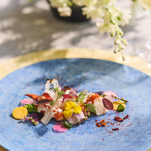 グランラセーレの森