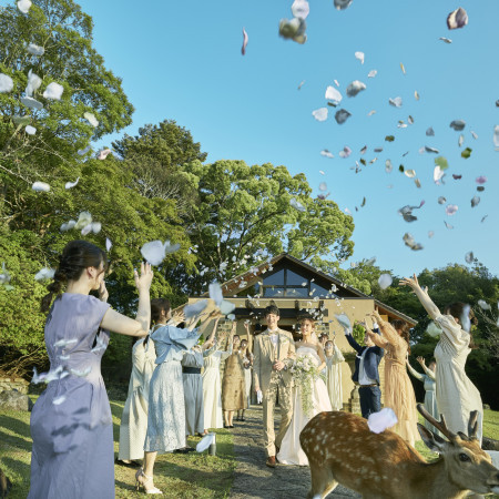 外でみんなに祝福されるフラワーシャワーは感動の瞬間