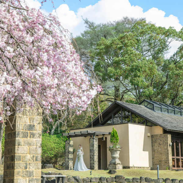 桜も楽しめる時期でのご結婚式は一生の思い出に