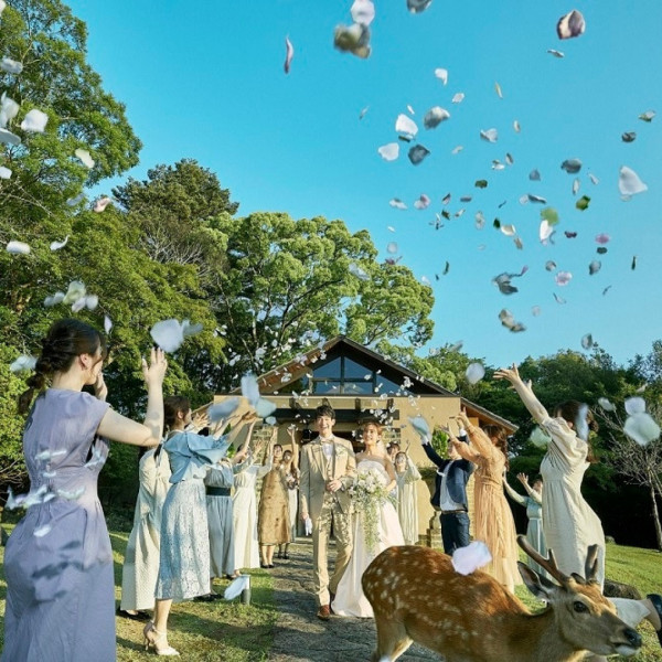 緑に囲まれた美しい夏空のロケーションでの結婚式を・・・