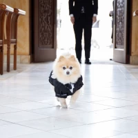 ザヒルトップテラス奈良