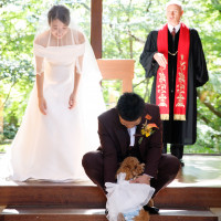 ザヒルトップテラス奈良