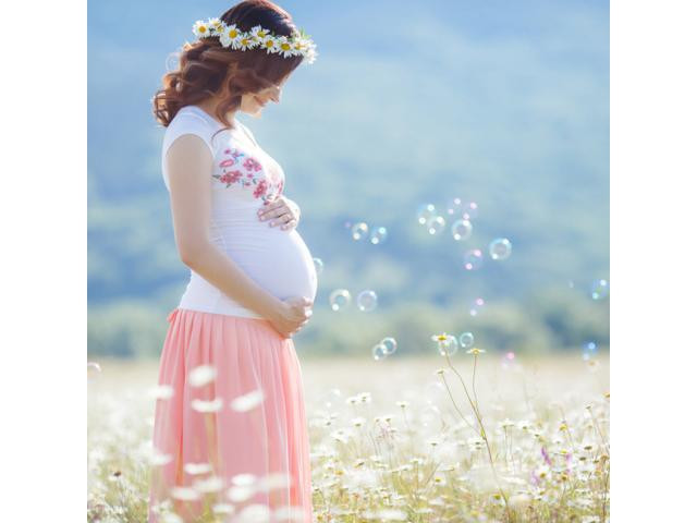 お得に叶う☆安心マタニティ限定プラン紹介