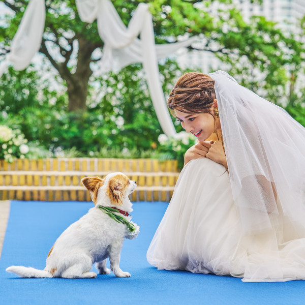 愛犬とのウエディングももちろんOK♪