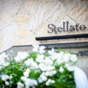 白金台のプラチナ通りに佇むステラート|Stellato(ステラート)の写真(12227724)