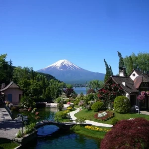 河口湖音楽と森の美術館（旧河口湖オルゴールの森）の写真(402868)