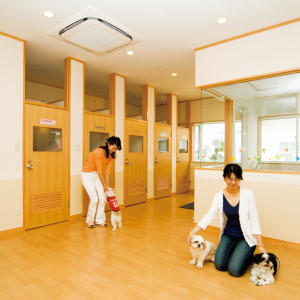 大切な愛犬の部屋も完備|ホテル マウント富士の写真(488089)