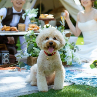 【ペットと一緒に叶える感動の結婚式】挙式体験×ペット演出紹介