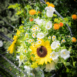 Flower.6|Patrick Kiso Garden（パトリック・キソ・ガーデン）の写真(40813626)