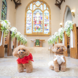 ペットと一緒に過ごせる結婚式♪貸切邸宅×プライベート試食付き