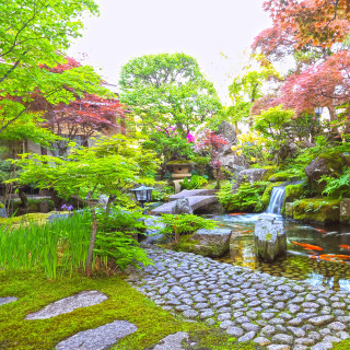 和室から望める日本庭園。四季の移ろいを感じて。