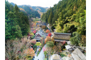 うかい鳥山