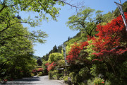 うかい鳥山