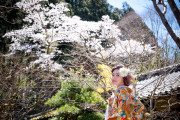 うかい鳥山