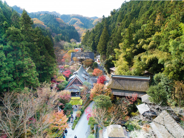 うかい鳥山