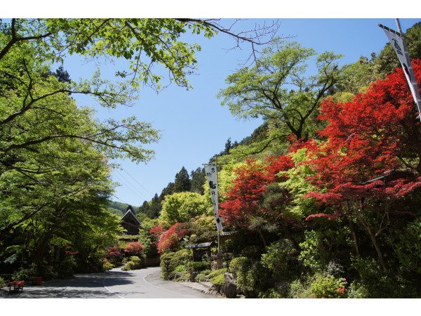 うかい鳥山