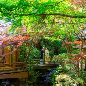 .|うかい鳥山の写真(51702036)
