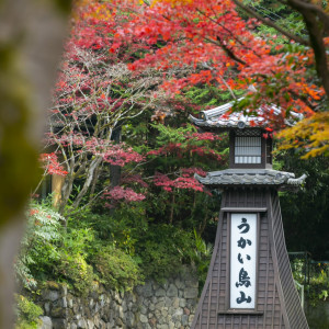 .|うかい鳥山の写真(49161576)