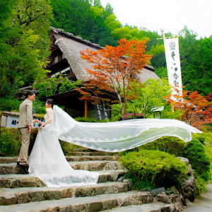 ・|うかい鳥山の写真(52520051)